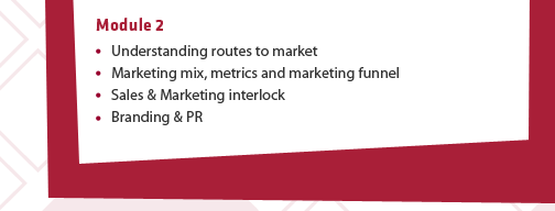 Module 2: (1) Understanding routes to market (2) Marketing mix, metrics and marketing funnel (3) Sales & Marketing interlock (4) Branding & PR