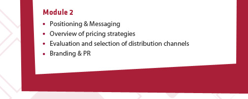 Module 2: (1) Positioning & Messaging (2) Overview of pricing strategies (3) Evaluation and selection of distribution channels (4) Branding & PR