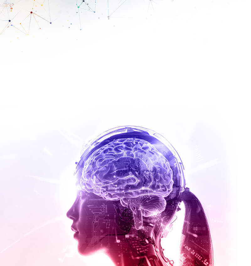 banner-desktop